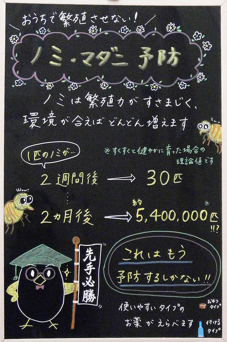 今月の掲示板
