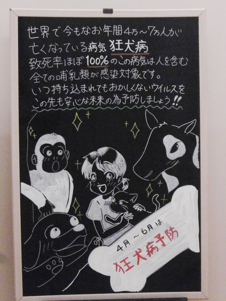 今月の掲示板