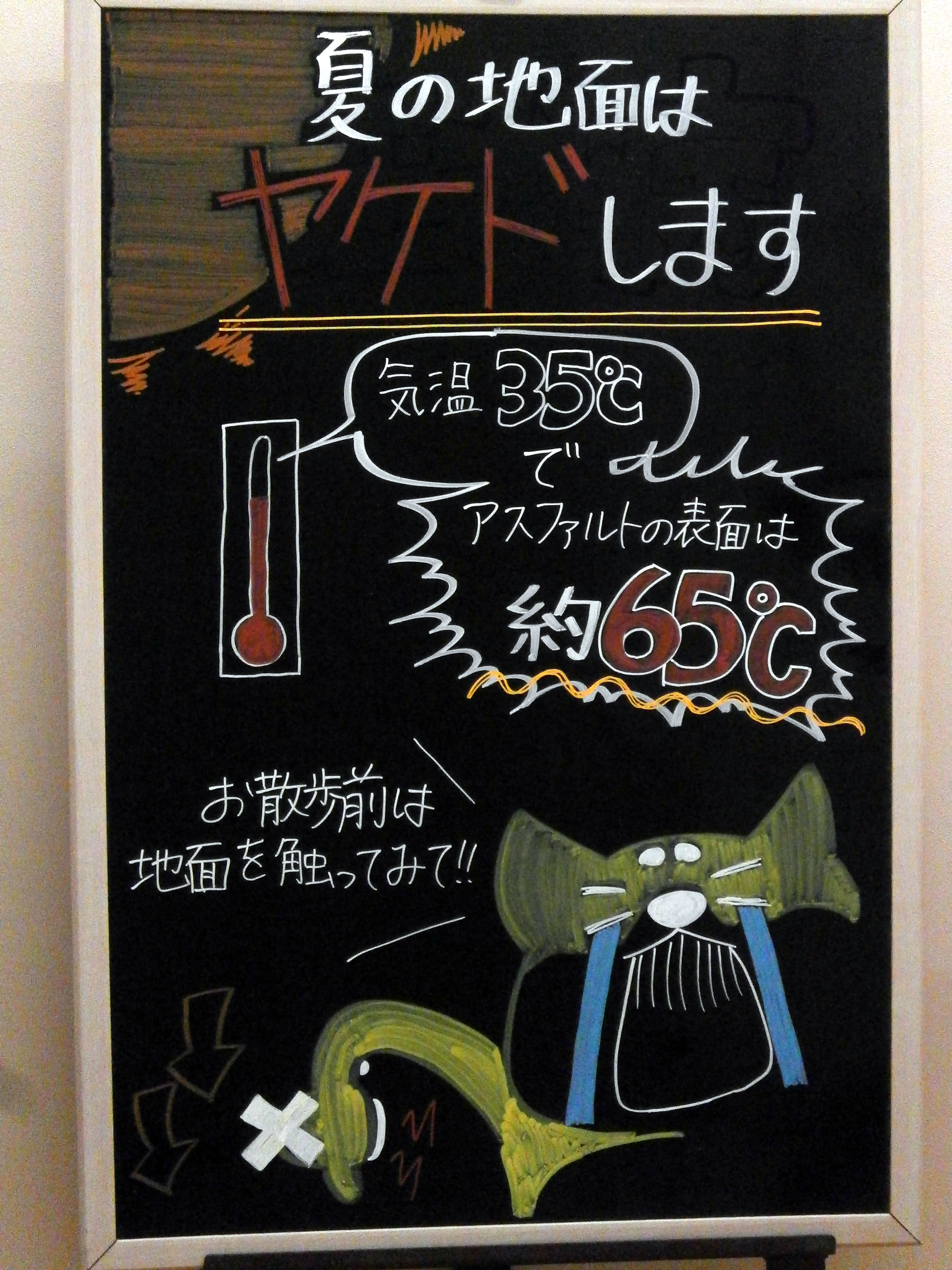 今月の掲示板