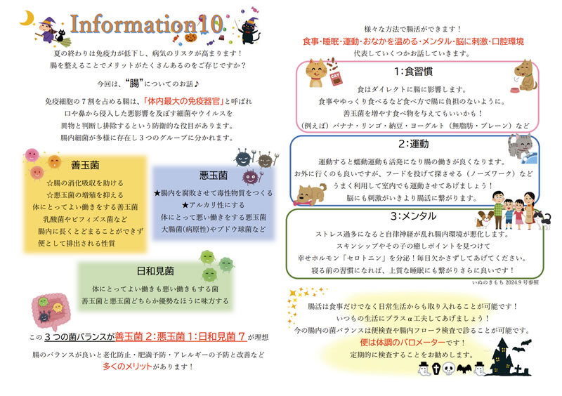 今月のインフォメーション