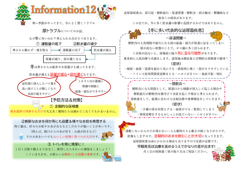 今月のインフォメーション