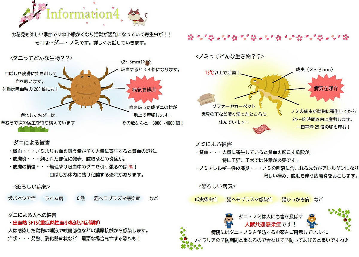 今月のインフォメーション