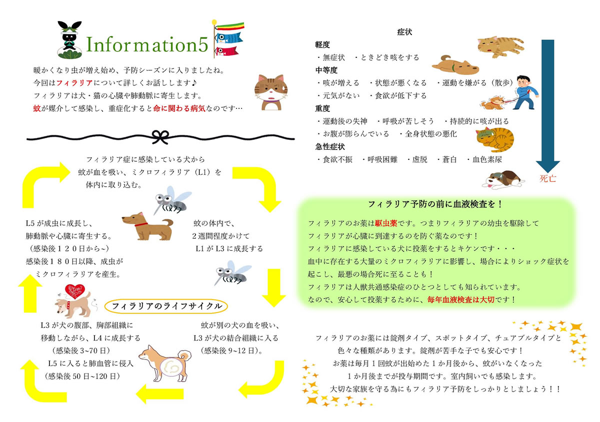 今月のインフォメーション