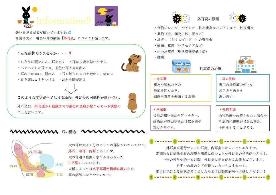 今月のインフォメーション