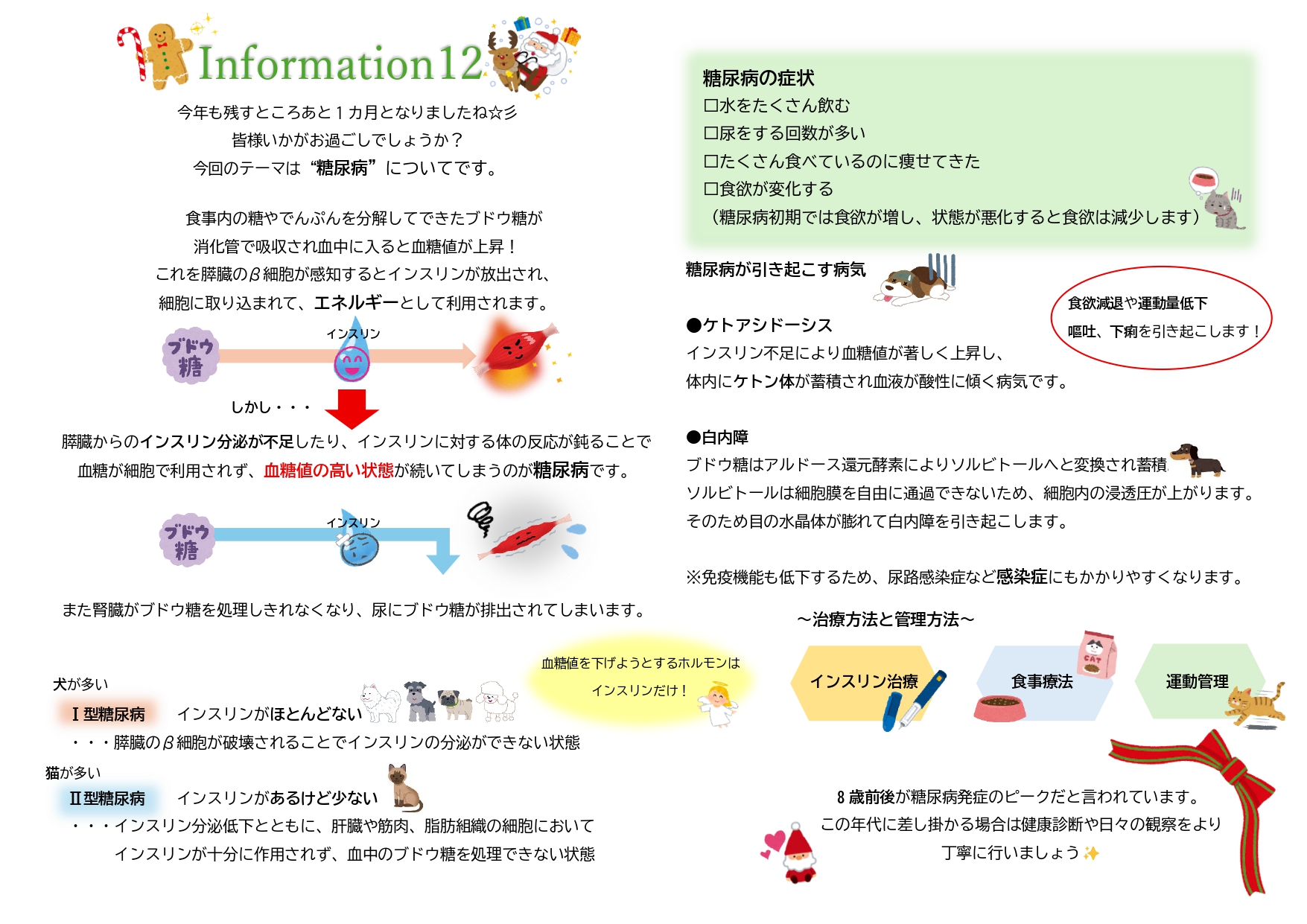 今月のインフォメーション