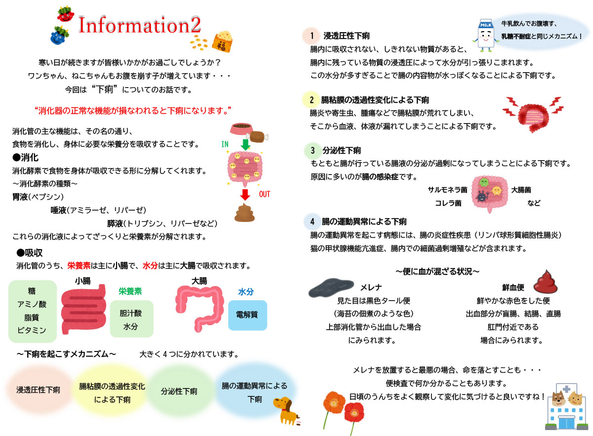 今月のインフォメーション