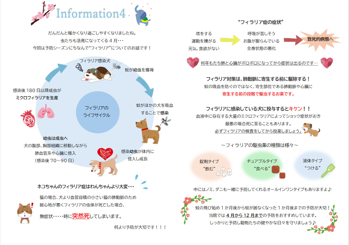 今月のインフォメーション