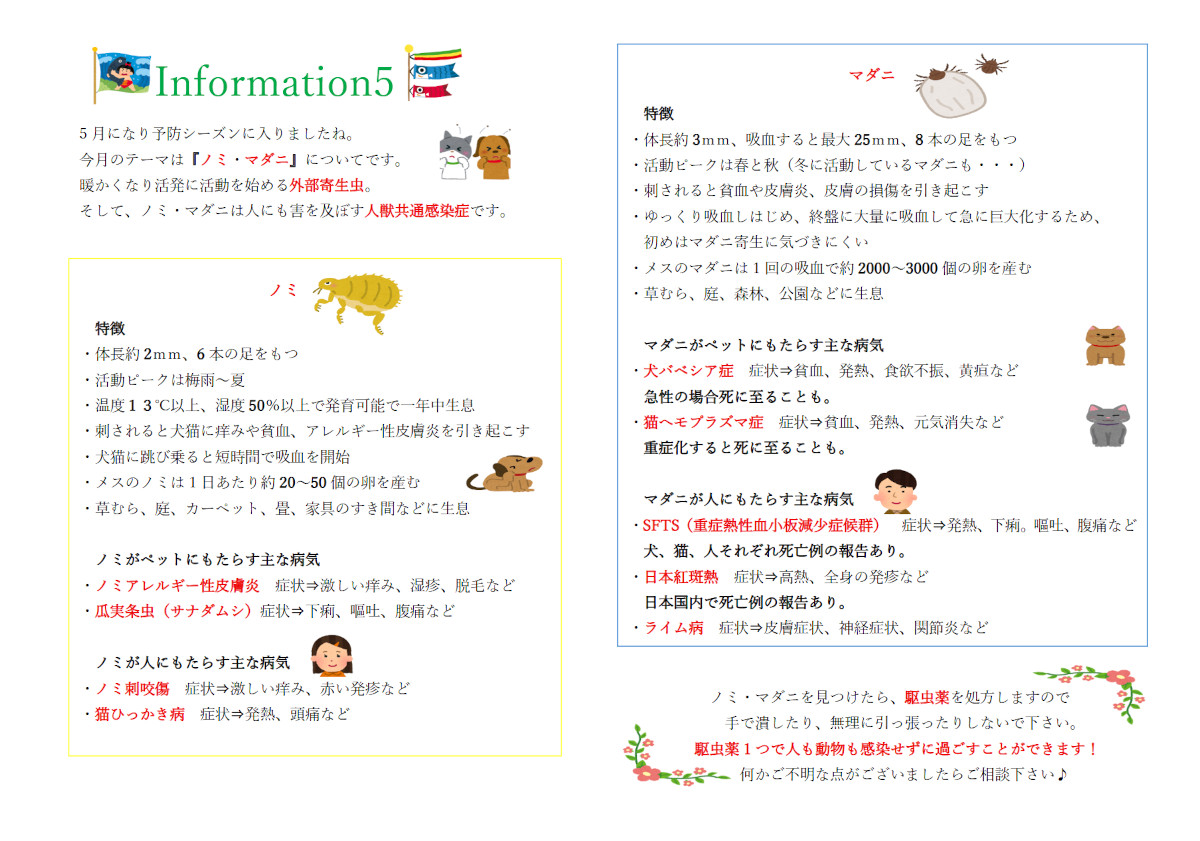 今月のインフォメーション