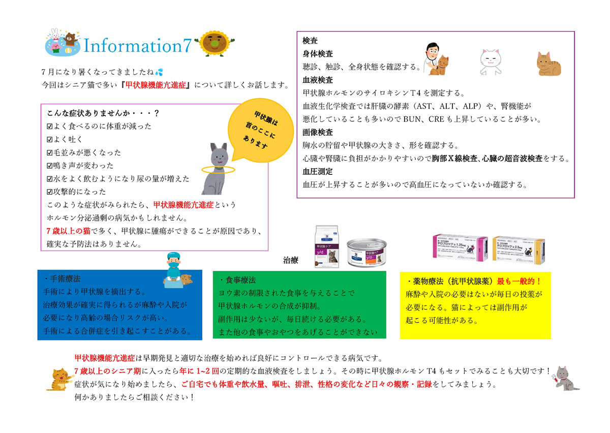 今月のインフォメーション