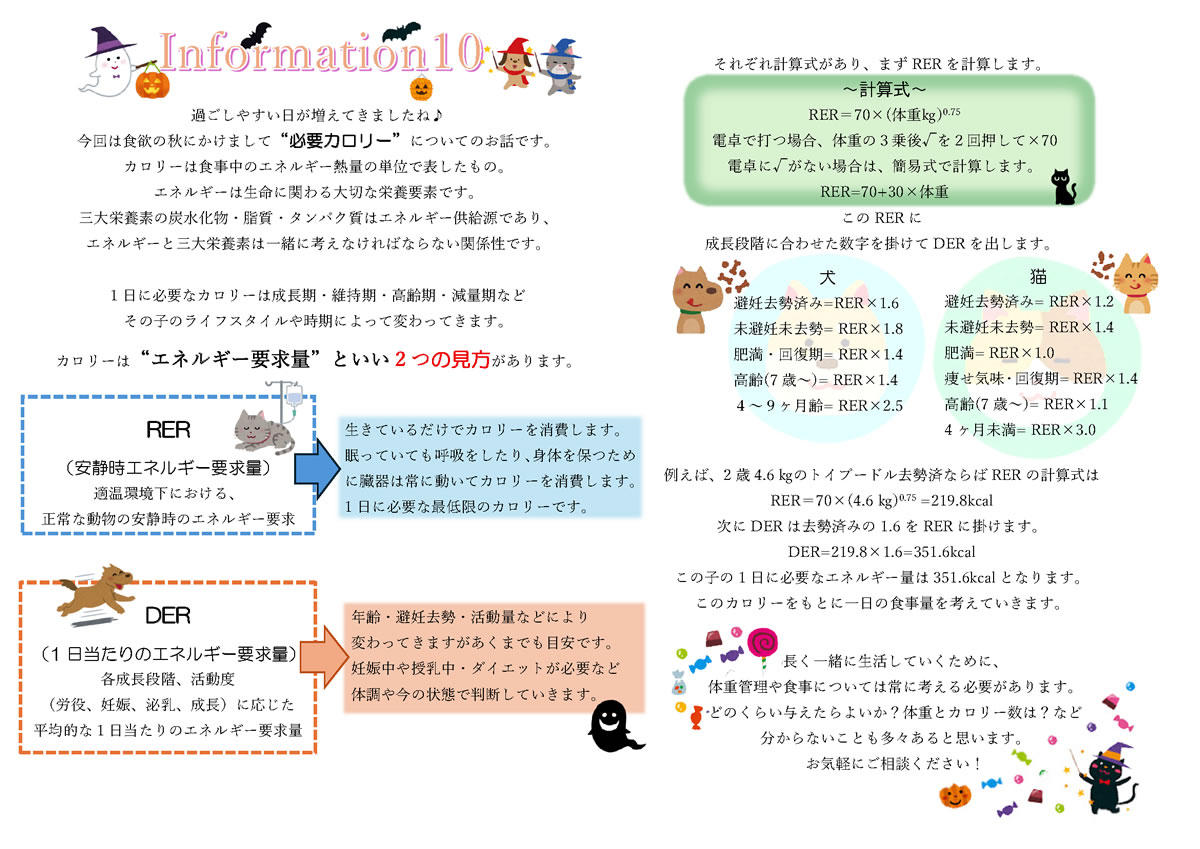 今月のインフォメーション